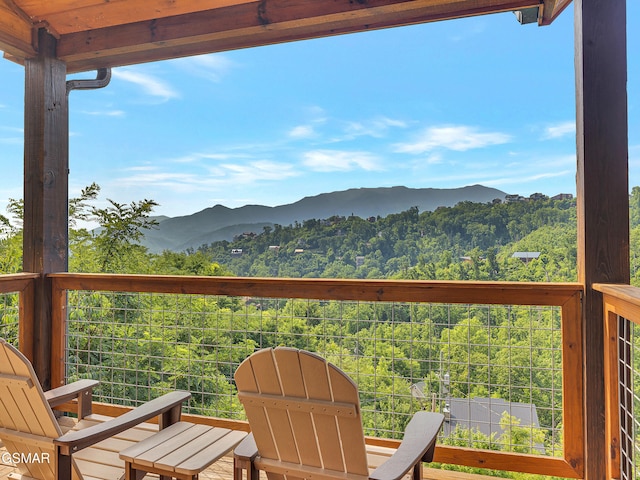 523 Greenbriar Ln, Gatlinburg, TN 37738 - photo 32