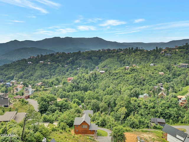 523 Greenbriar Ln, Gatlinburg, TN 37738 - photo 37