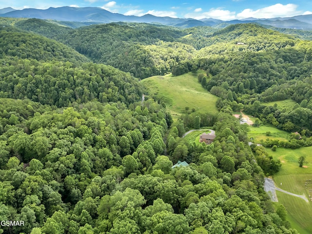 1529 Oldham Springs Way, Sevierville, TN 37876 - photo 31