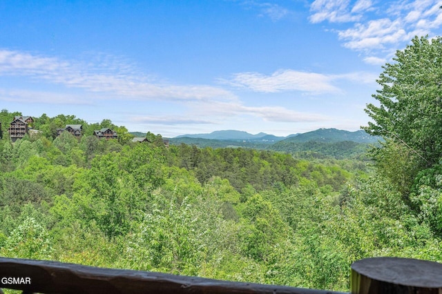 2418 Smoky Vista Way, Sevierville, TN 37876 - photo 2