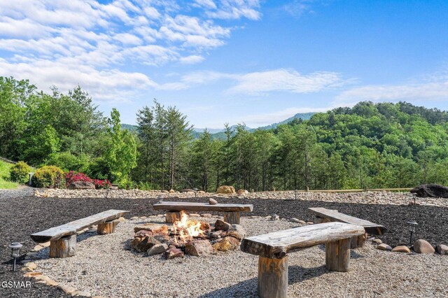 2418 Smoky Vista Way, Sevierville, TN 37876 - photo 25
