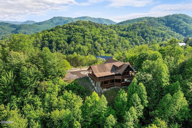 2418 Smoky Vista Way, Sevierville, TN 37876 - photo 50