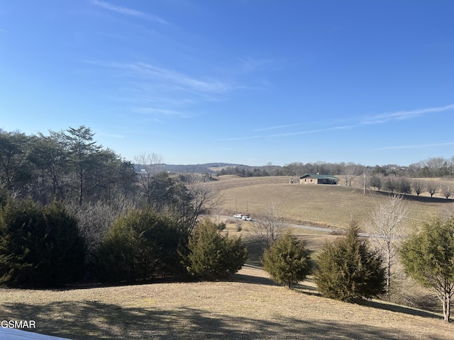 view of yard featuring a rural view