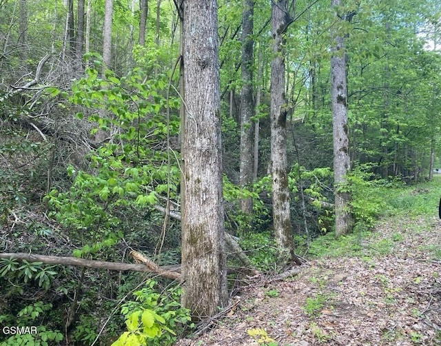 LOT26 Alpine Dr, Sevierville, TN 37876