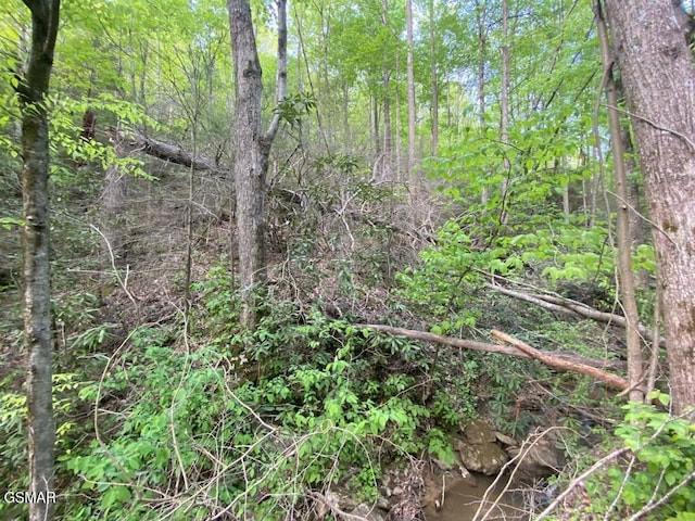 LOT26 Alpine Dr, Sevierville, TN 37876