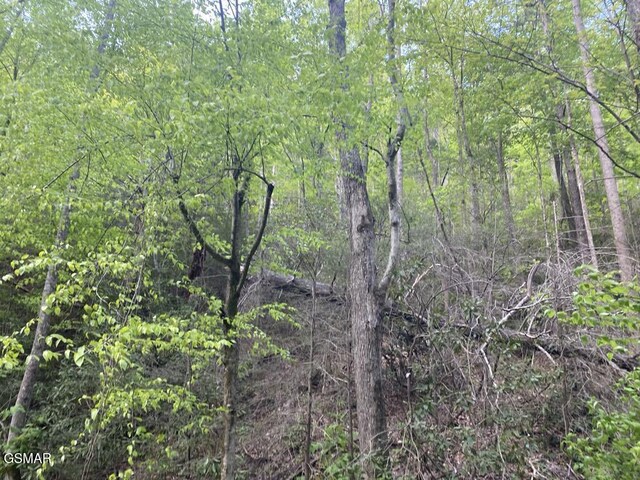 LOT26 Alpine Dr, Sevierville, TN 37876