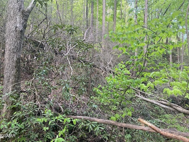 LOT26 Alpine Dr, Sevierville, TN 37876