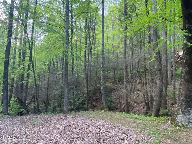 LOT26 Alpine Dr, Sevierville, TN 37876