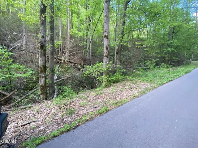LOT26 Alpine Dr, Sevierville, TN 37876
