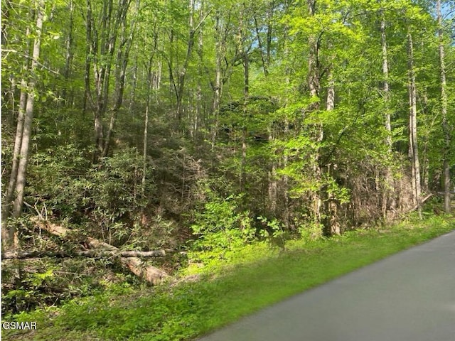 LOT26 Alpine Dr, Sevierville, TN 37876