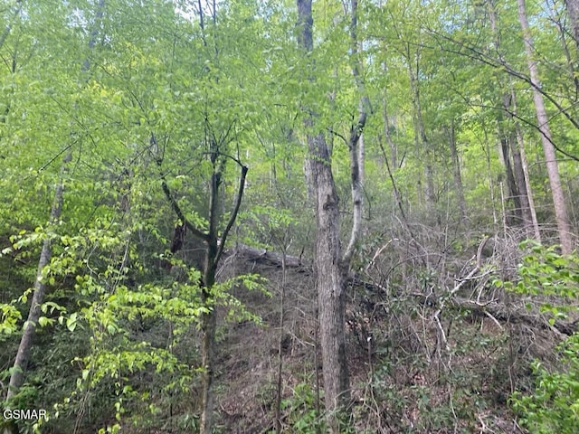 LOT26 Alpine Dr, Sevierville, TN 37876
