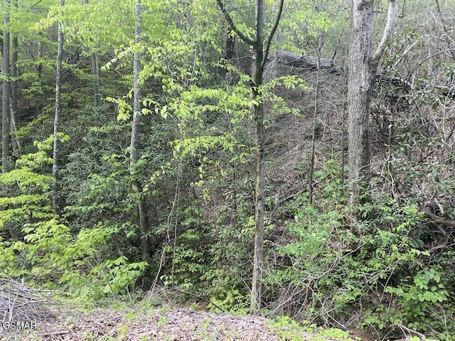 LOT26 Alpine Dr, Sevierville, TN 37876