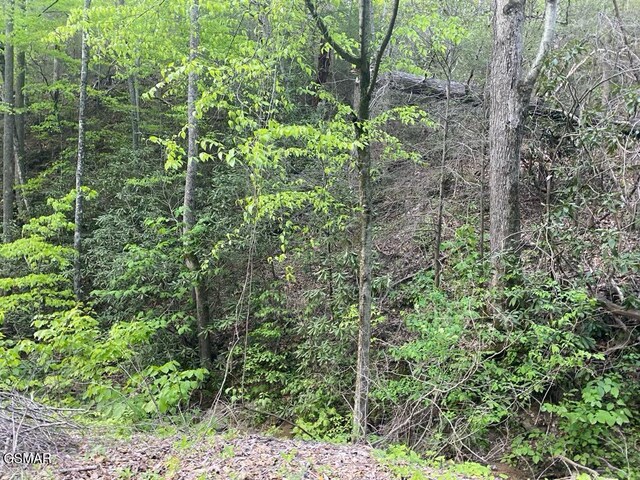 LOT26 Alpine Dr, Sevierville, TN 37876