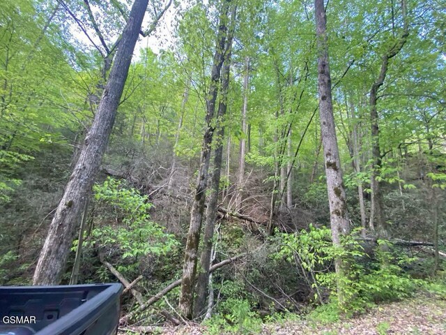 LOT26 Alpine Dr, Sevierville, TN 37876