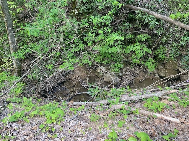 LOT26 Alpine Dr, Sevierville, TN 37876