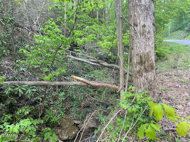 LOT26 Alpine Dr, Sevierville, TN 37876
