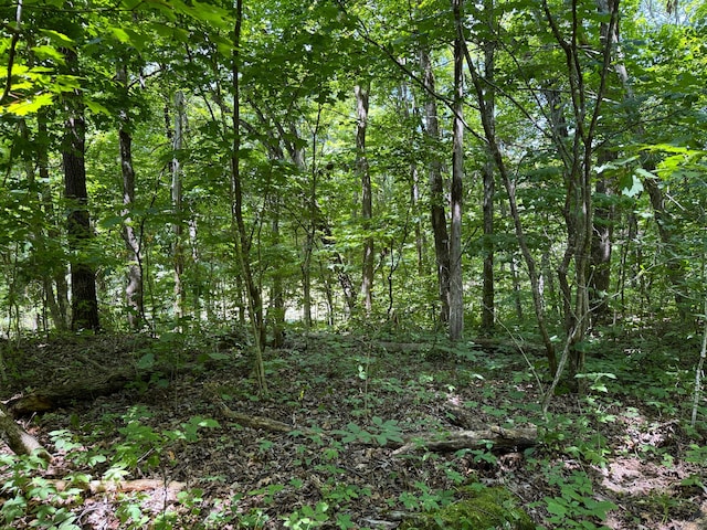 Listing photo 3 for 6.8ACRES Friendship Rd S, Greeneville TN 37616