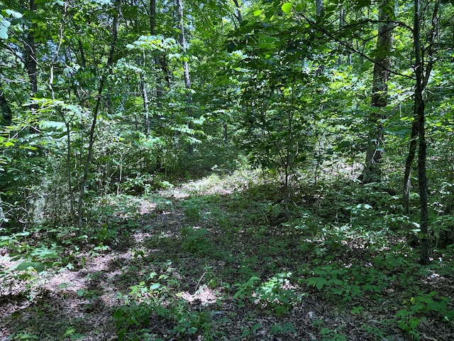 Listing photo 2 for 6.8ACRES Friendship Rd S, Greeneville TN 37616