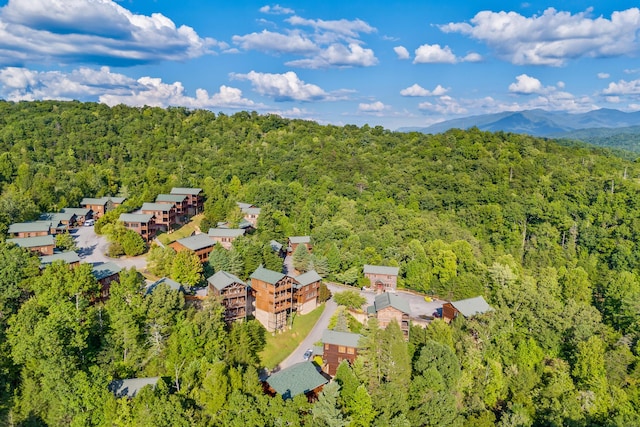 bird's eye view with a mountain view