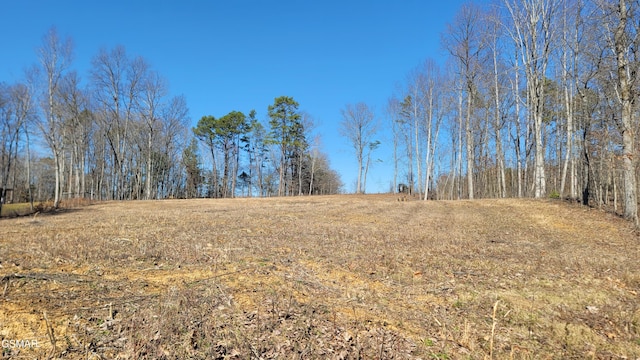 LOT18 Tom Patterson Trl, Dandridge TN, 37725 land for sale