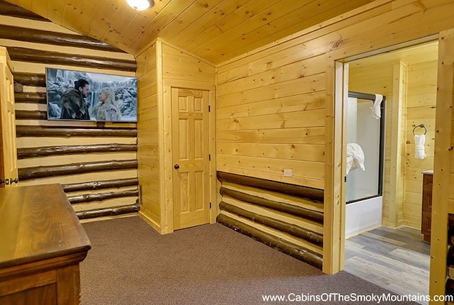 interior space featuring carpet and lofted ceiling