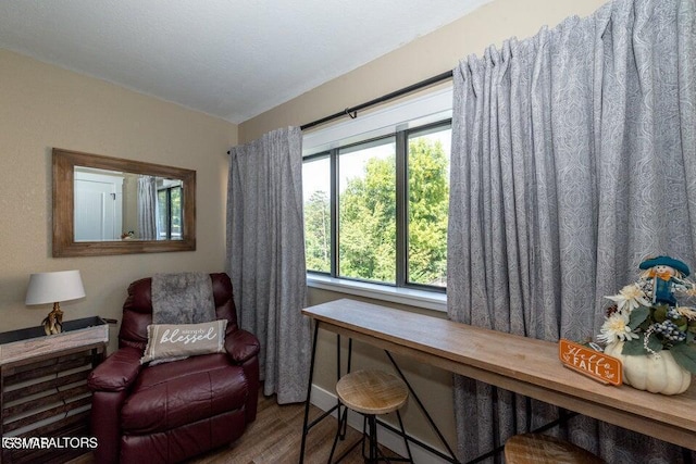 living area with hardwood / wood-style floors