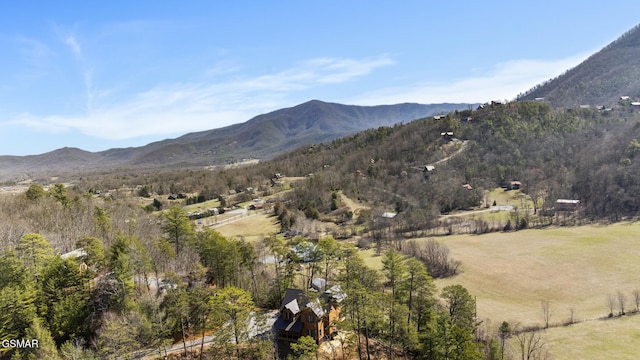 property view of mountains