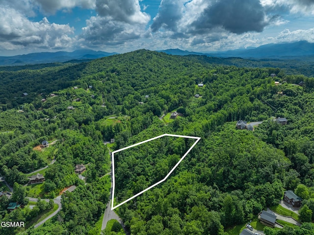 0 Beech Branch Rd, Gatlinburg, TN 37738