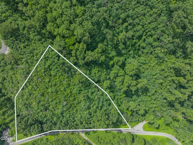 0 Beech Branch Rd, Gatlinburg, TN 37738