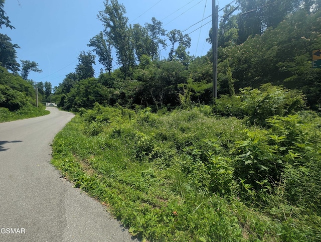 0 Beech Branch Rd, Gatlinburg, TN 37738