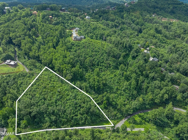 0 Beech Branch Rd, Gatlinburg, TN 37738