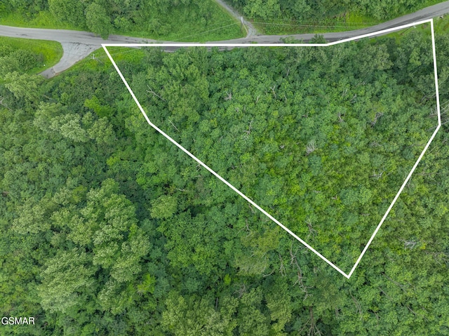 0 Beech Branch Rd, Gatlinburg, TN 37738