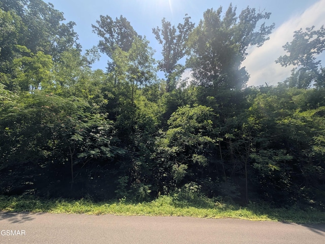 0 Beech Branch Rd, Gatlinburg, TN 37738