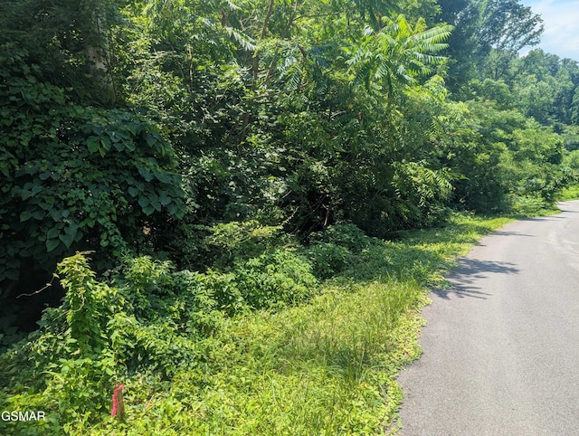 0 Beech Branch Rd, Gatlinburg, TN 37738