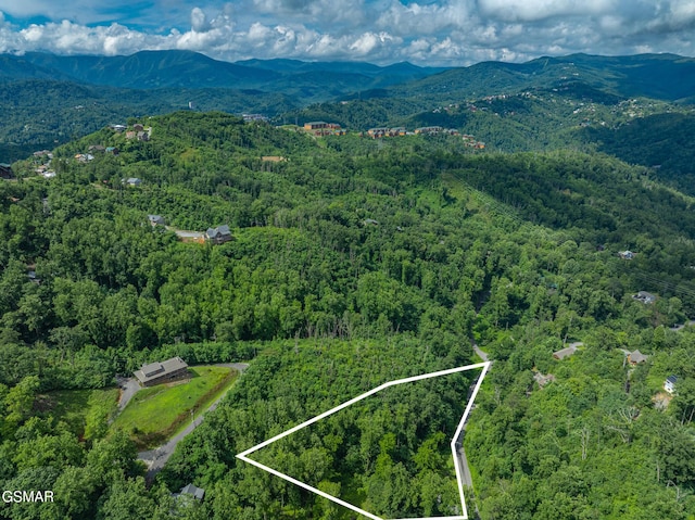 0 Beech Branch Rd, Gatlinburg, TN 37738