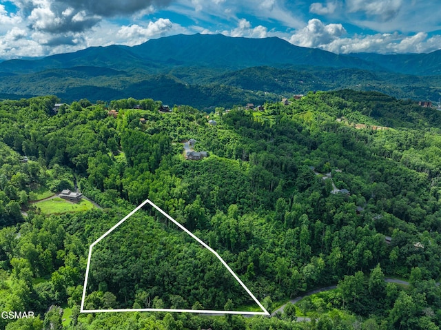 0 Beech Branch Rd, Gatlinburg, TN 37738