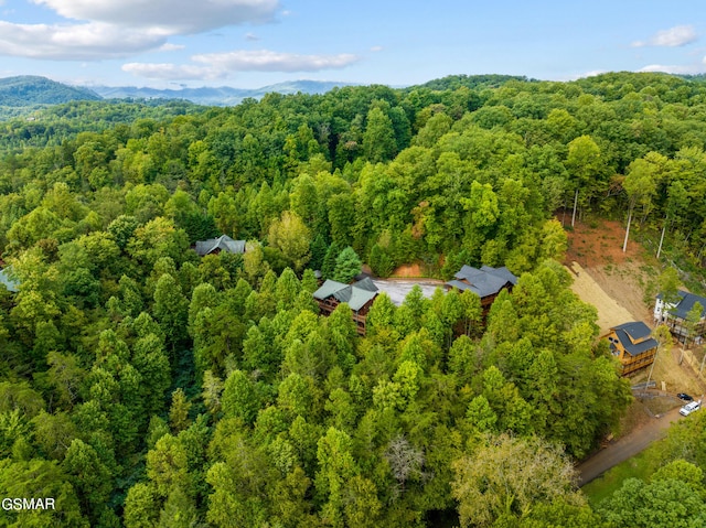 aerial view featuring a mountain view