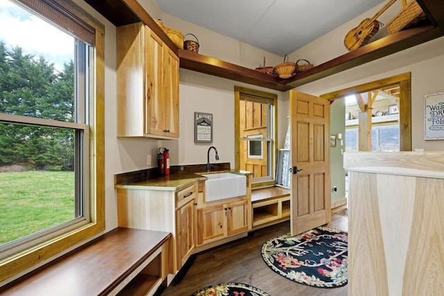 kitchen featuring sink, dark hardwood / wood-style flooring, and light brown cabinetry