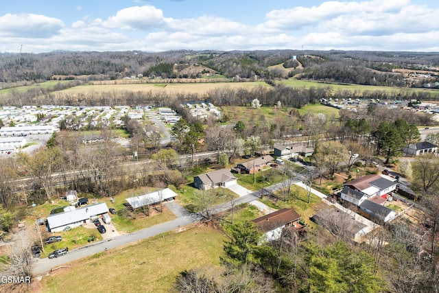 1441 Cherokee Cir, Sevierville, TN 37862 - photo 49
