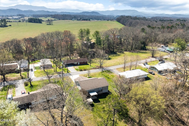 1441 Cherokee Cir, Sevierville, TN 37862 - photo 41