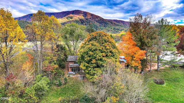 property view of mountains