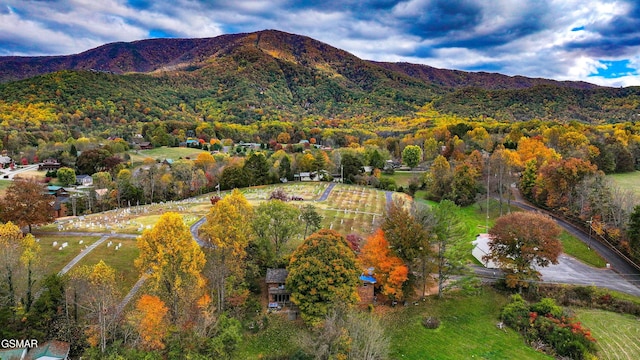 view of mountain feature