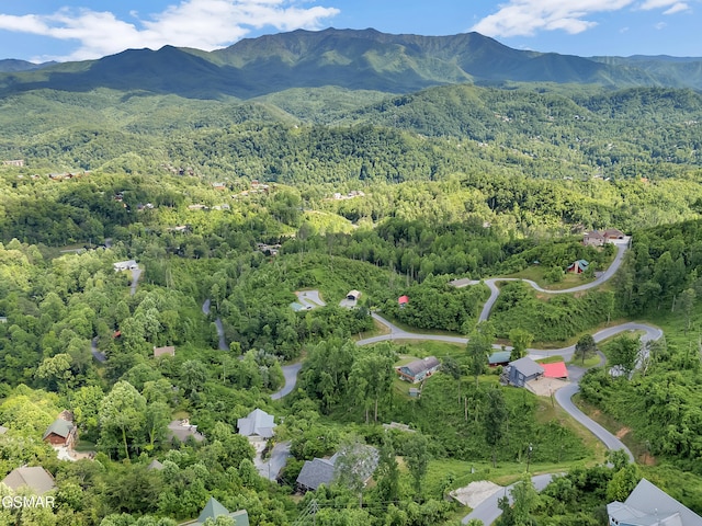 730 Deerfoot Dr, Gatlinburg, TN 37738 - view of property location featuring a heavily wooded area and a mountainous background