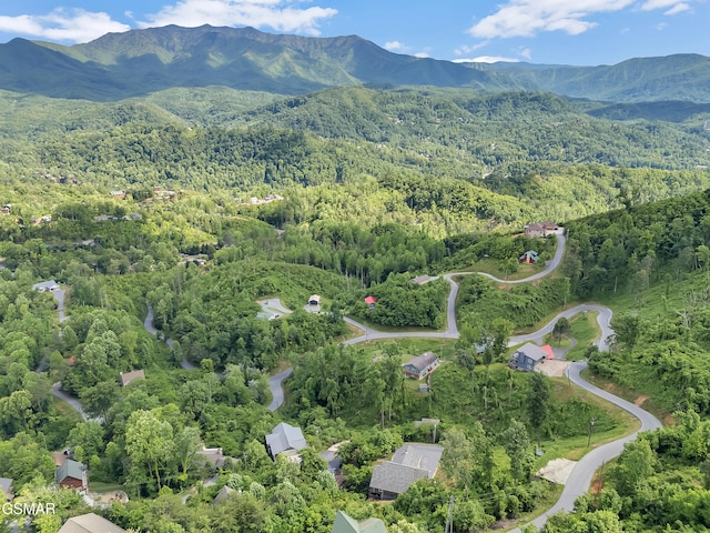 730 Deerfoot Dr, Gatlinburg, TN 37738 - aerial view of a heavily wooded area and mountains