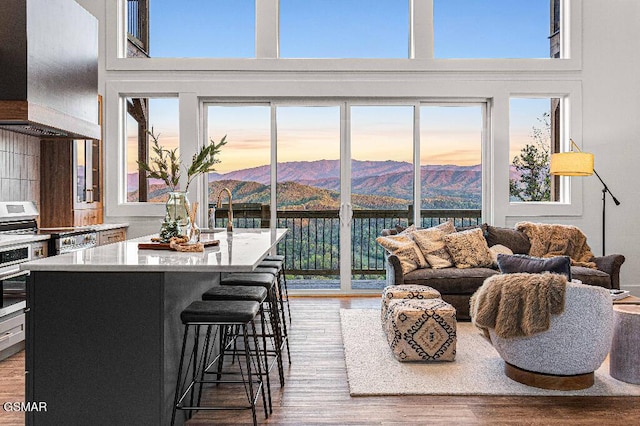 living room featuring wood finished floors, a mountain view, and a healthy amount of sunlight