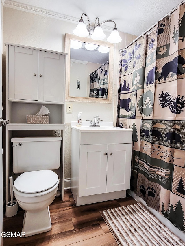 bathroom featuring vanity, hardwood / wood-style flooring, and toilet