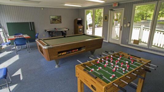 playroom with dark colored carpet and billiards