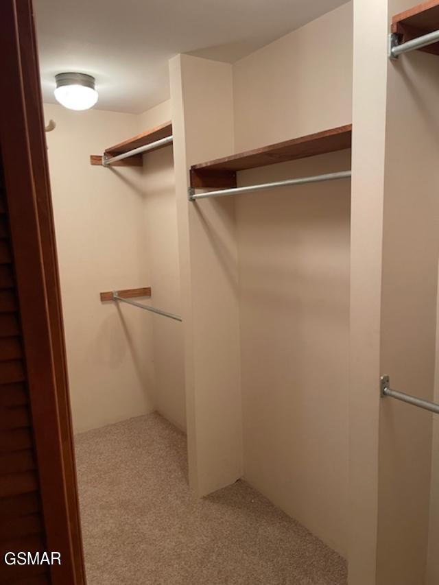 spacious closet with carpet flooring