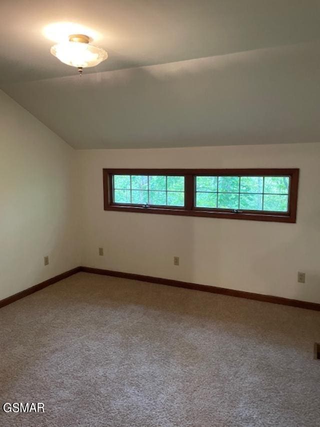 spare room with carpet, a wealth of natural light, and vaulted ceiling