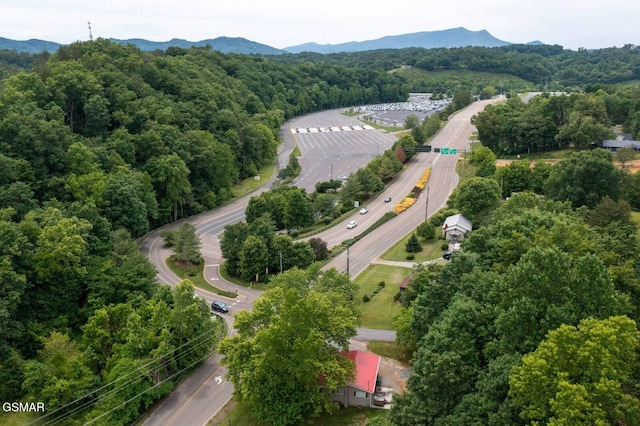 1249 Mccarter Hollow Rd, Sevierville, TN 37862 - photo 24